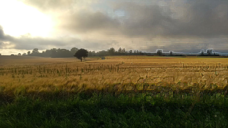 Field with low clouds